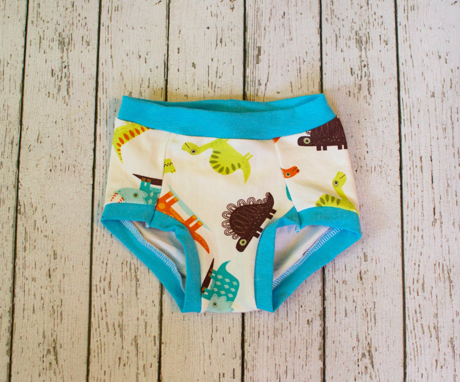Dinosaur Underwear Girls Underwear Toddler Underwear Boys