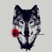 TaxidermyFreak