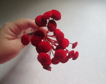Red Floral Buttons for DIY crafts, Wedding Decor, 30 dried flowers