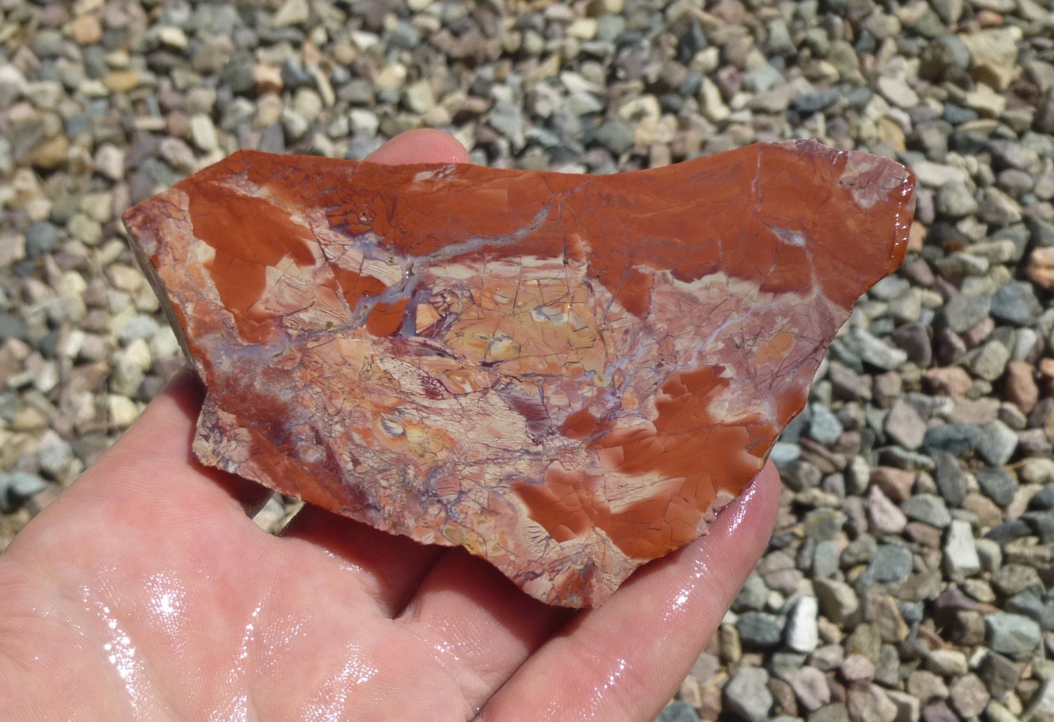 Mexican Red Jasper Slab 100X50X9
