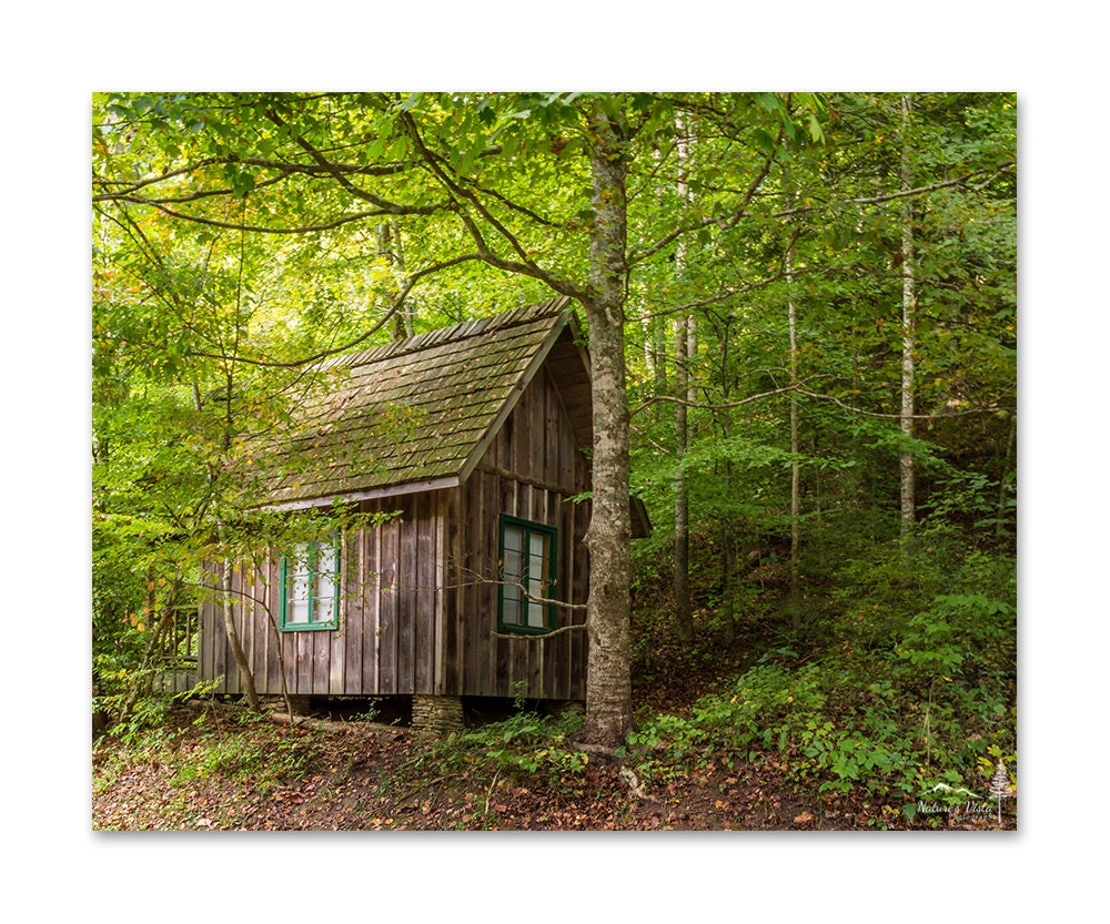 Cabin Decor Rustic Wall Decor Cabin Wall Decor by NaturesVista