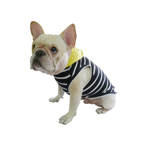 Φ FRENCHIEΦ Black Stripe Yellow Hoodie French BullDog Pug wear Bully Manny Cloth Apparel Pet GO