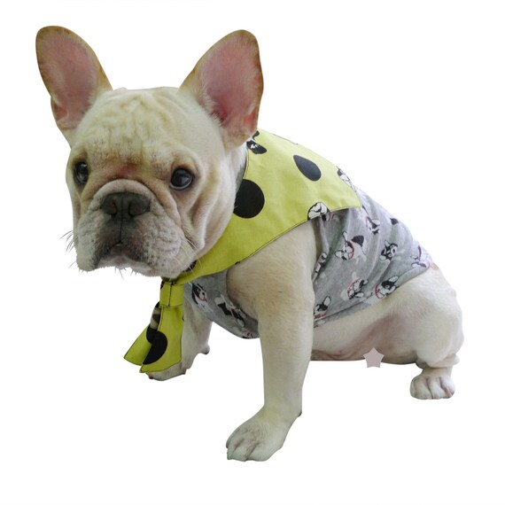 Φ FRENCHIEΦ ACCESSORY Double Look Sailor Collar Dark Blue Neon Yellow French Bull Dog Pug wear Bully Manny Cloth Apparel Pet Puppy Cat