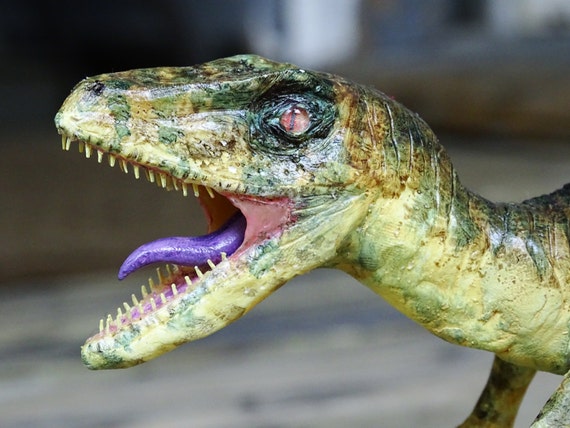 echo the velociraptor