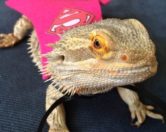 Handmade SuperGirl and BatGirl Capes for Bearded dragons in Two sizes