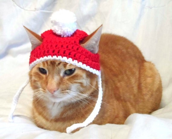 Crochet Cat Hat Christmas Santa Hat for Cats Cat Christmas