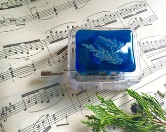 Blue Music Box, Small Music Box, Manual Music Box, Disney Frozen Music Box, Acrylic Music Box, Children's music box, Custom music box.