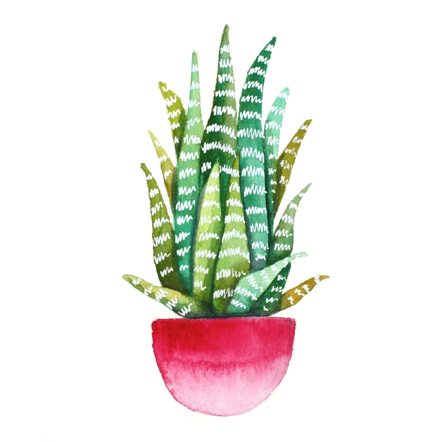 Print of original watercolor painting of a cactus succulent.