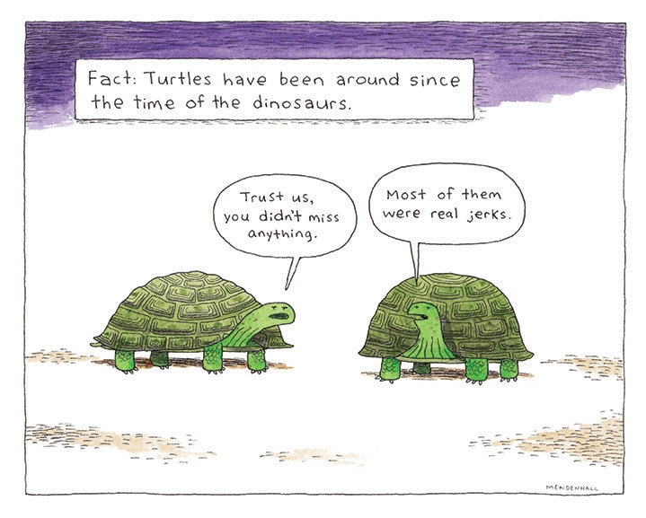  Lustige Schildkröte Zeichnung Schildkröte Cartoon lustige Bildidee 