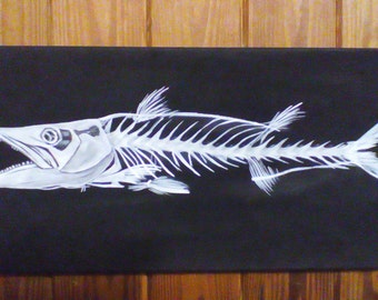 Barracuda Skeleton