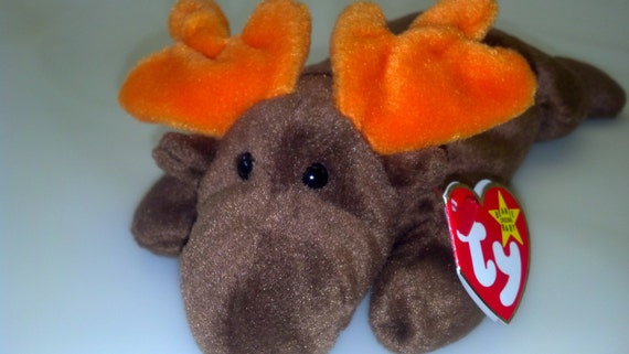 chocolate moose stuffed animal