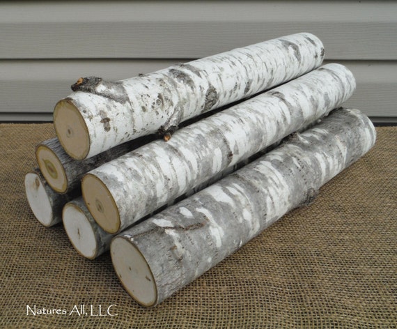 Decorative Aspen Logs/6 Piece Set/16 Inch by NaturesAllLLC