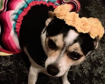 Dia De Los Muertos Small Dog Dress Costume Handmade One of A Kind!