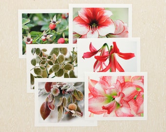 Six Seasonal Holiday Note Cards pack, winter floral photography Christmas card assortment, boxed stationery set of 6