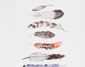 Watercolor Feathers - Art Print - 11 x 14