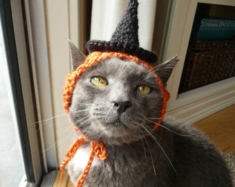 Halloween Costume for Cat Witch Hat for a Cat Holiday Hat Fall Orange Black Funny Cat Hat Knit Cat Hat Crochet Cat Hat Pet Clothing Present