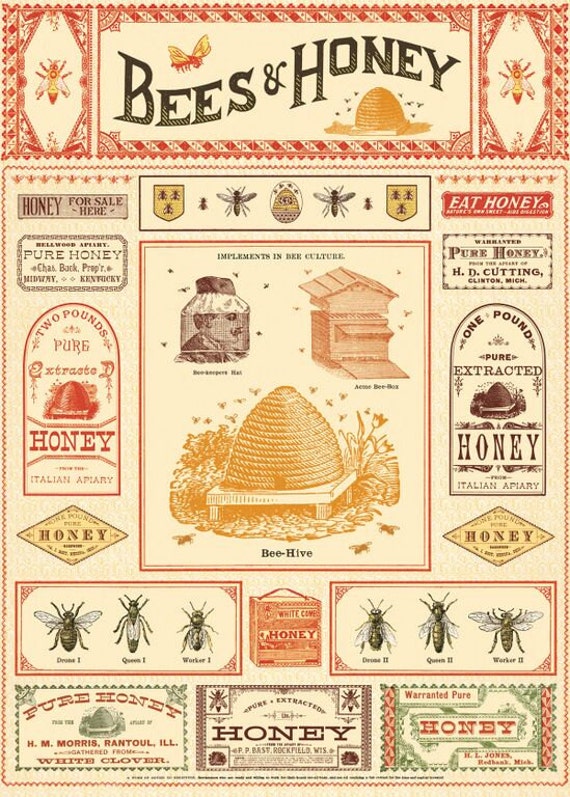 Vintage Look Bees &amp; Honey Gift Wrap or by SunchowdersVintage