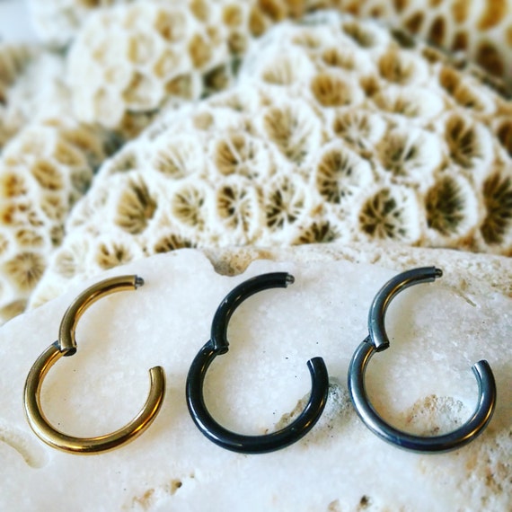 14g Titanium Hinged Septum Seamless 3/8 10mm 5/16