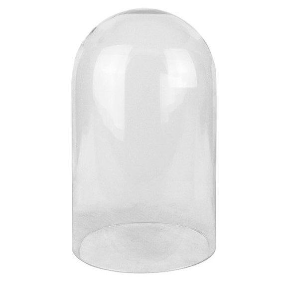 Glass Cloche Bell Dome with 10.5 inches Height and D 6 inches