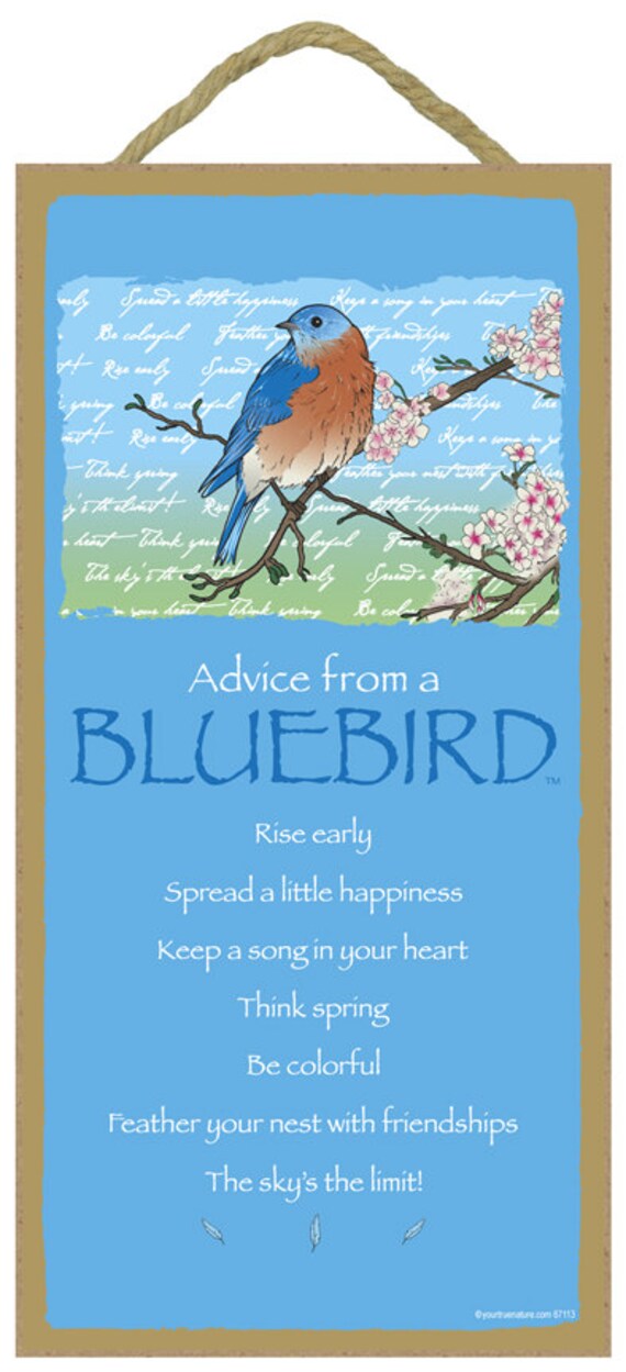 Bluebird Song Bird / Advice From A 5 x 10 by TheCarolinaTrader