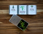 Bonsai Tree 3-Pack - Grow Your Own Giant Tiny Tree! Perfect gift for gardeners & greenthumbs - SALE - Three plant kits + Seeds + Greenhouse!