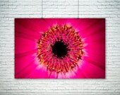Macro Flower Photography, Nature Photography, Modern Wall Art, Large Canvas Art, Fucsia Violet Red Home Decor, Bold Nursery Decor