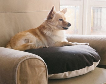 Cover dog Organic dog bed cover Cotton dog bed Cotton cover Pillow Cushion dogs Cream and chocolate Hidden zipper Washable dog bed