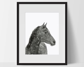 Art Print, Horse Art, Horse Printable, Digital Print, Horse Print, Wall Art, 8x10, Decorations, Horse with Snow, Black White, Art