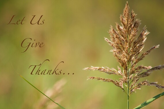 Let Us Give Thanks