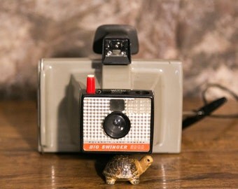 cute teen fucks huge cock gif polaroid big swinger
