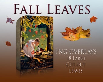 Fall Leaves PNG Pack - Leaf Overlay - Leaves Cutouts - Photoshop overlay
