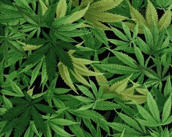 Cannabis Leaf Green Fabric / Cannabis By The Yard / Timeless Treasures C3819 / Pot Fabric / Marijuana Material / Fat Quarters and Yardage