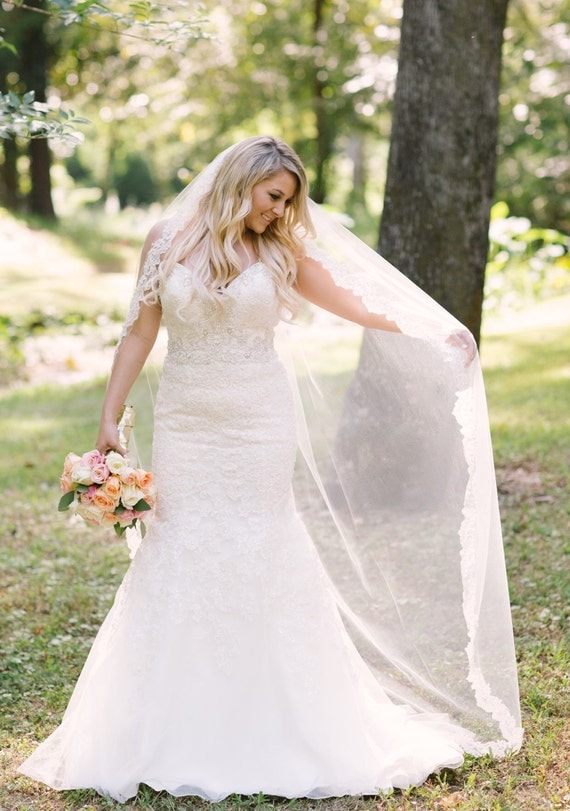 Beaded Lace Wedding Veil