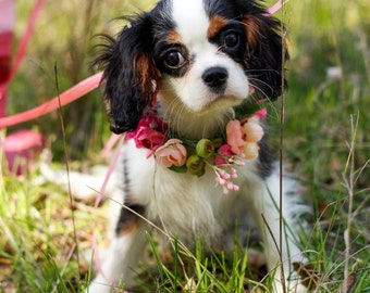 Dog flower crown, dog flower collar, puppy flower crown, puppy flower collar, flower crown