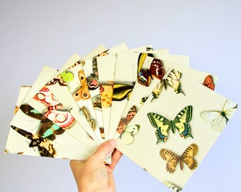 Set of 10 butterfly envelopes, butterfly stationary, butterflies gift envelopes, handmade envelope