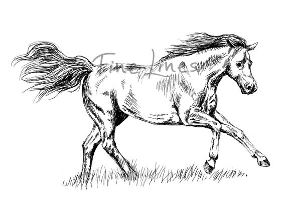Horse print Black and white printable Horse by Rachelsfinelines