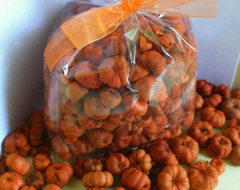 SHIPS NEXTDAY!! Primitive FALL Decor, Miniature Pumpkins, Putka Pods, Autumn Decor, Fall decor, Tiny Pumpkin Pods, Thanksgiving decor