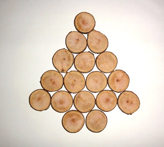 17 PCS Round Natural Wood Discs Slices For DIY Craft Hobbies