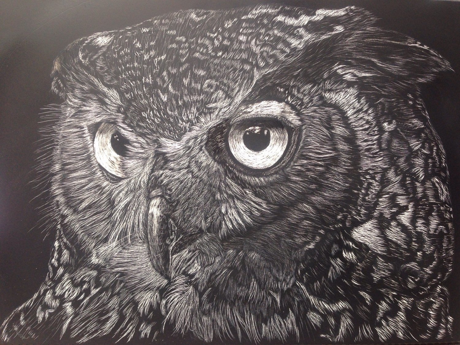 Great horned owl scratchboard 5inches x 7inches original art