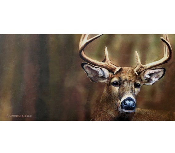 Whitetail Deer Buck Stag Original Painting by Lawrence Dyer