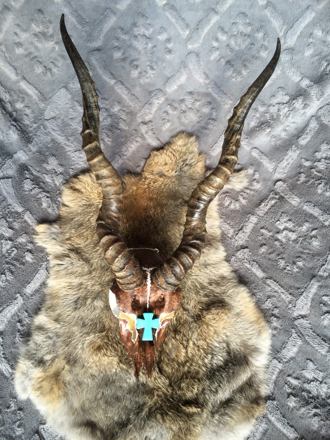 Hand painted/crafted black buck mount