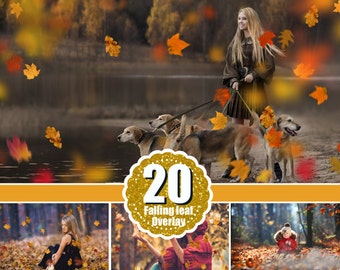 20 falling leaves Photo Overlays, Photography Overlays, Photography Photo Prop, Autumn Photoshop Overlays , png file