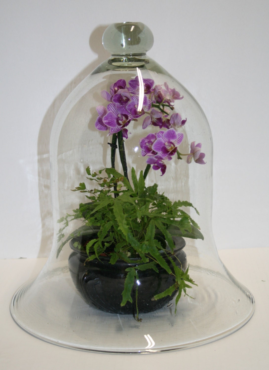 Large recycled glass cloche garden cloche vintage glass