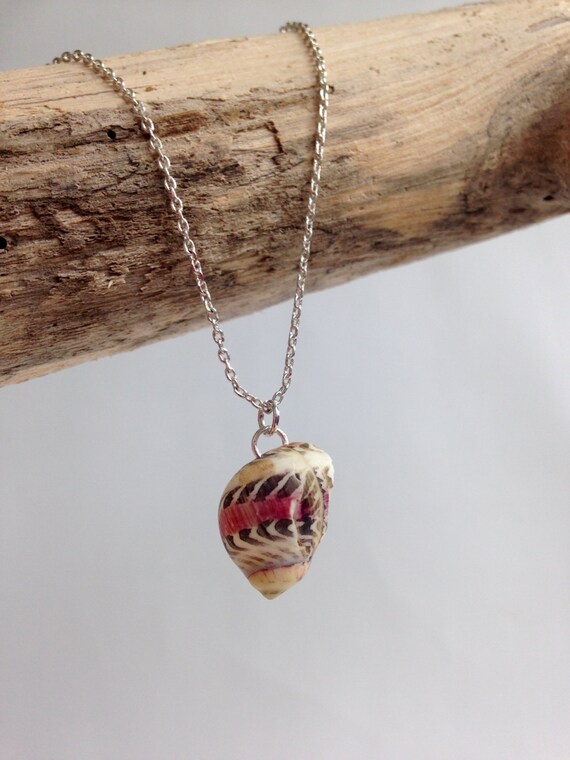 Fijian Zigzag Nerite Shell 18 Silver Necklace by emakaicreations