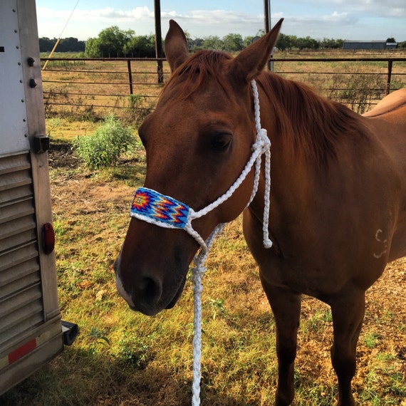 Items similar to Custom Beaded Horse Halter on Etsy