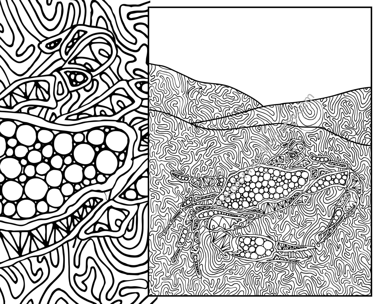 crab adult coloring page adult coloring sheet by TheColoringAddict