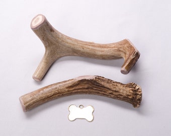 Large “Whole” Deer Antler Dog Chew