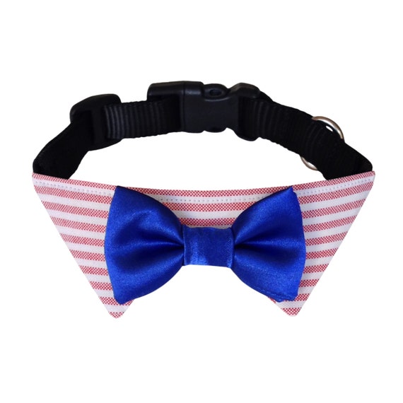 Custom Cat Collar with Bow Tie in Multiple Sizes by ApparelforCats