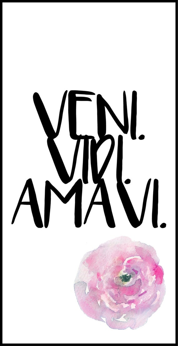 Meaning of Veni, vidi, vici by La Fouine