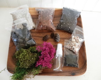 DIY - Mod Moss Terrarium Kit - Use your own container